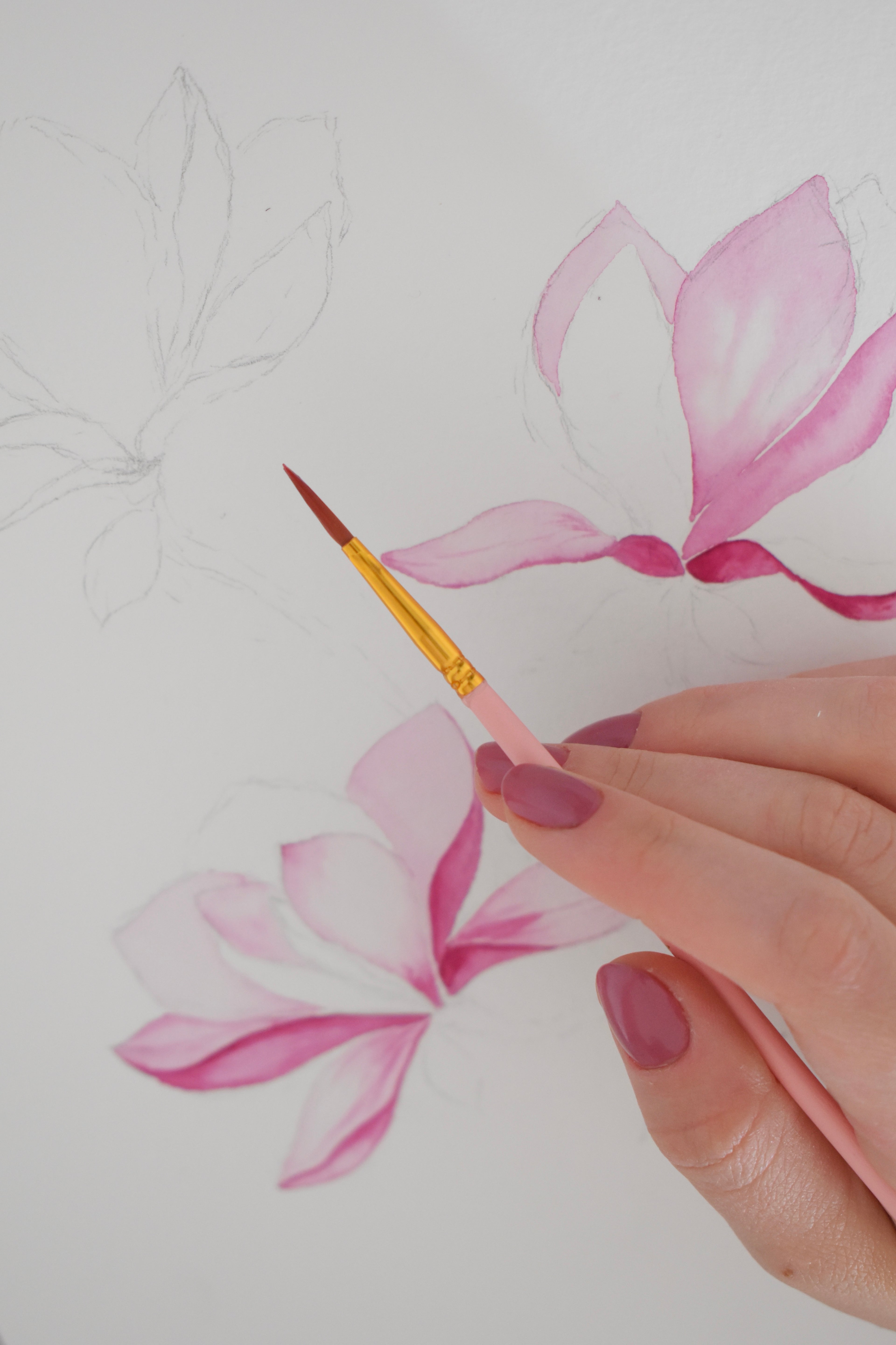 Malprozess eines Aquarells mit Magnolien